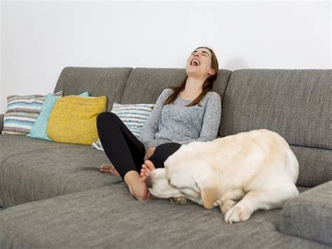 dog licking teen pussy|Close up of a Dog Licking a Woman